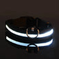 Nylon LED Night Safety Dog Leash
