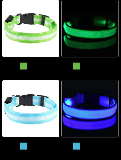 Nylon LED Night Safety Dog Leash