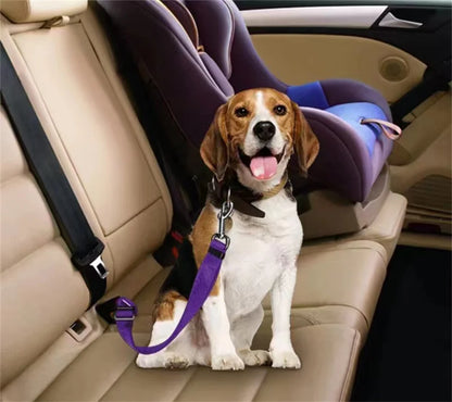 Pet Car Seat Belt