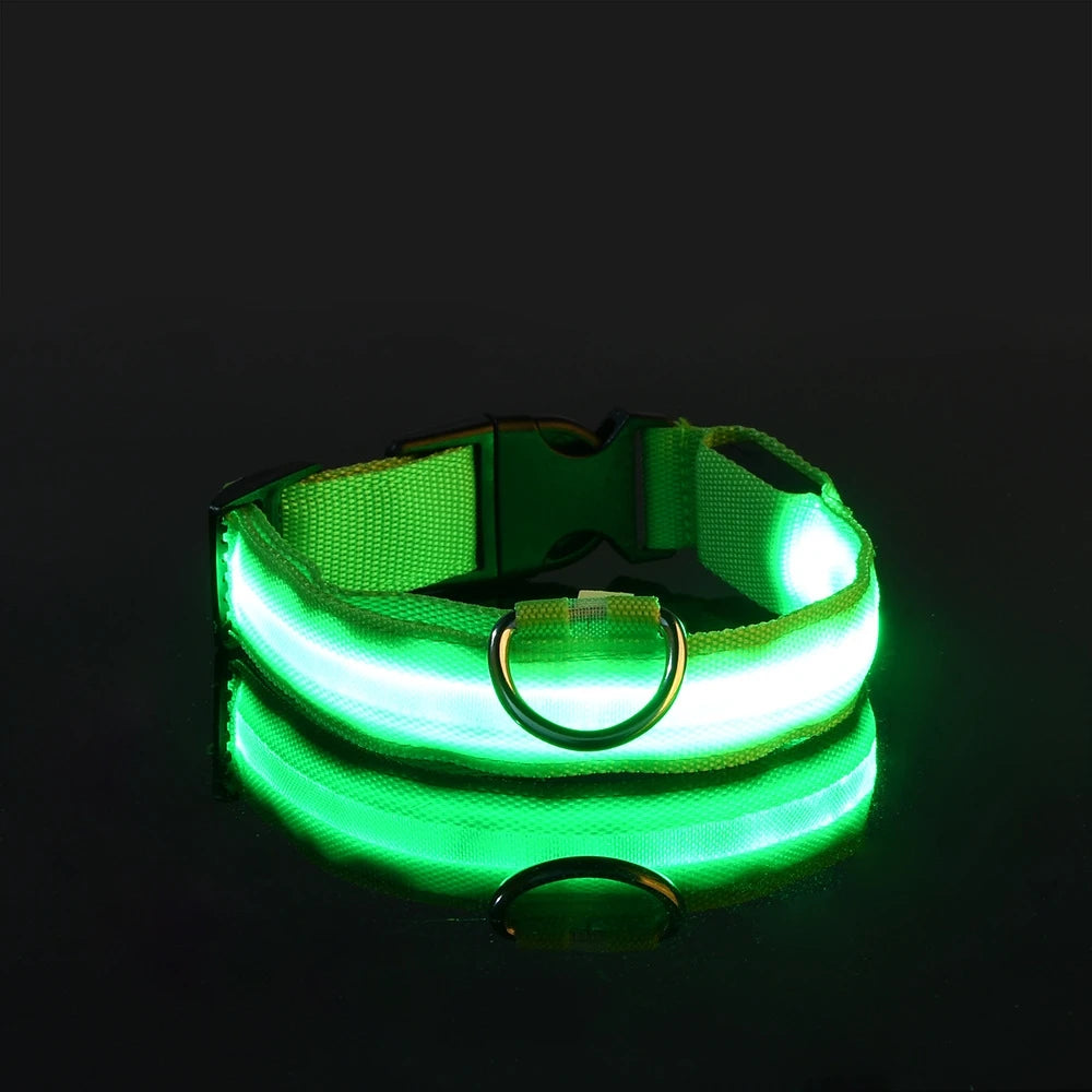 Nylon LED Night Safety Dog Leash