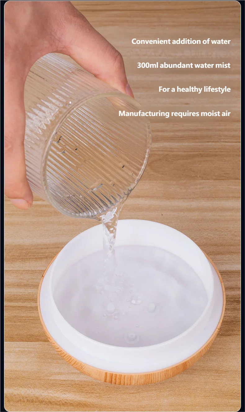 HOMEFISH Mini Air Humidifier [300ml USB]