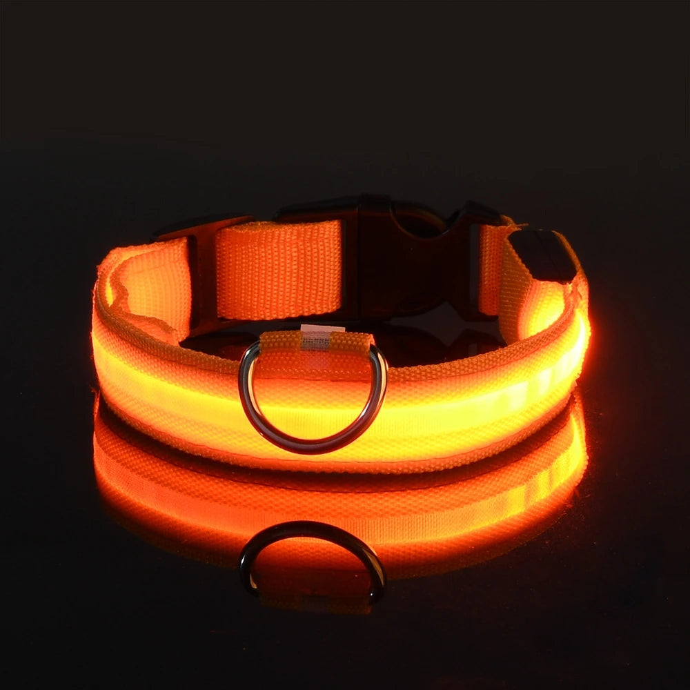 Nylon LED Night Safety Dog Leash