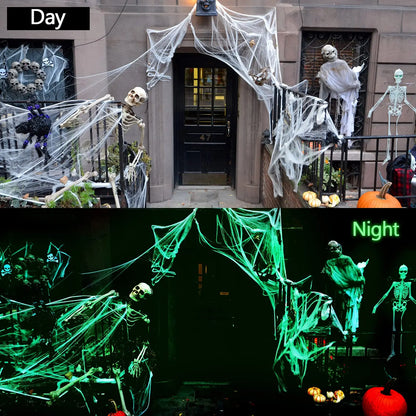 Halloween Glow in The Dark Spider Web Decoration