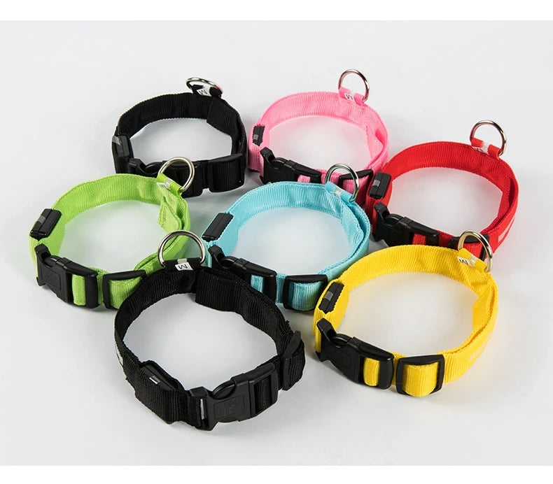 Nylon LED Night Safety Dog Leash
