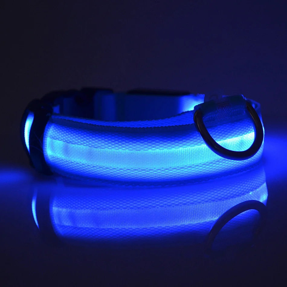 Nylon LED Night Safety Dog Leash