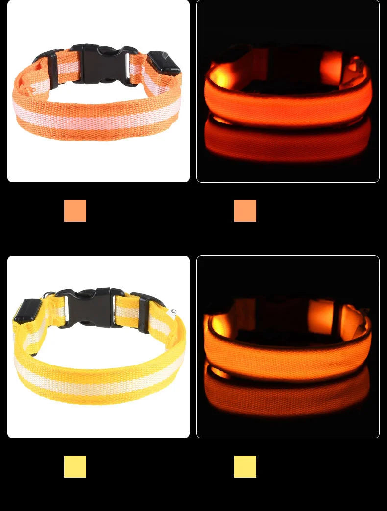 Nylon LED Night Safety Dog Leash
