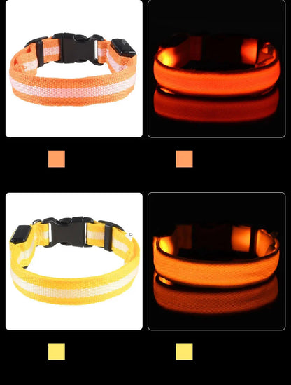 Nylon LED Night Safety Dog Leash
