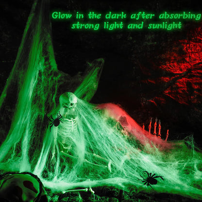 Halloween Glow in The Dark Spider Web Decoration