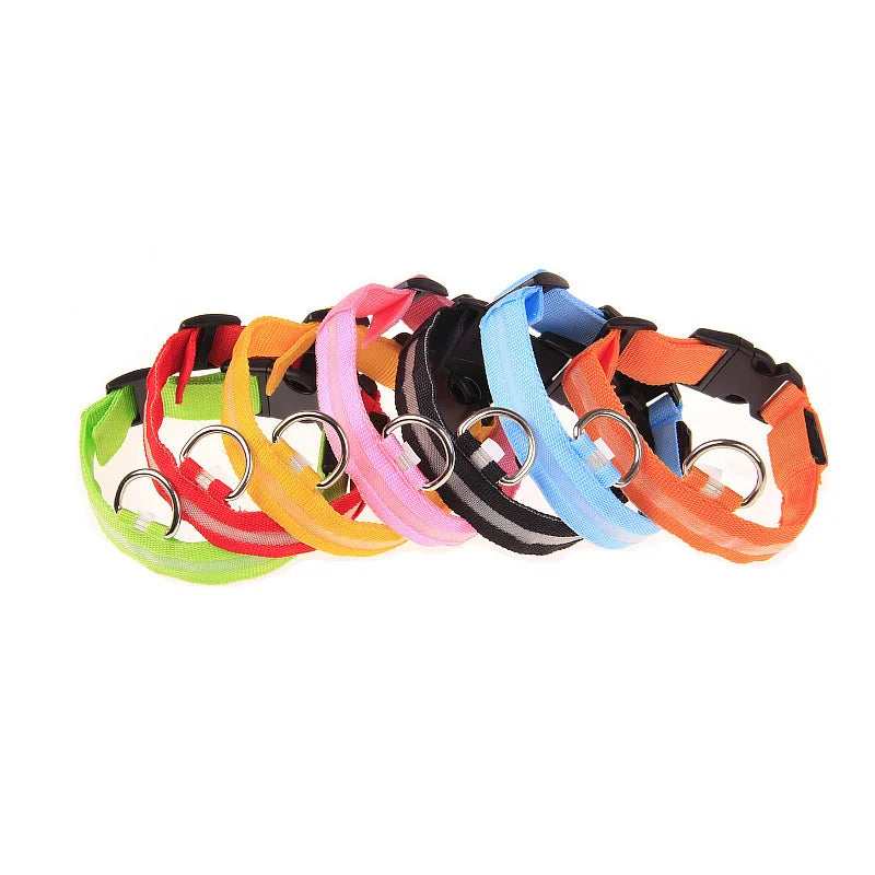 Nylon LED Night Safety Dog Leash