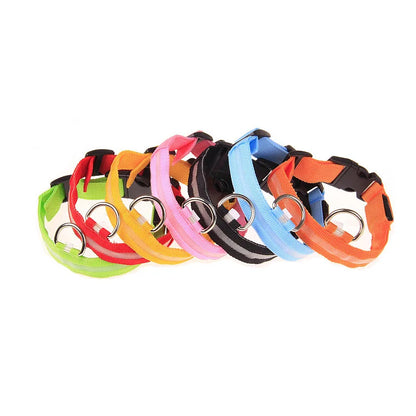 Nylon LED Night Safety Dog Leash