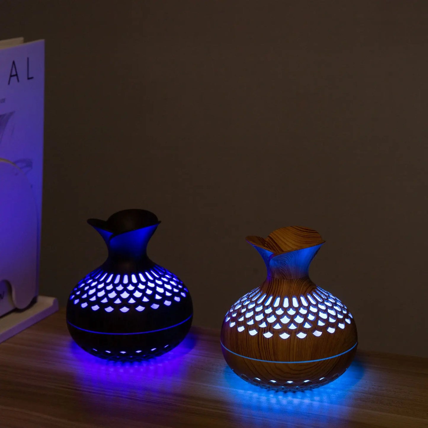 HOMEFISH 300 ml USB Mini Air Humidifier