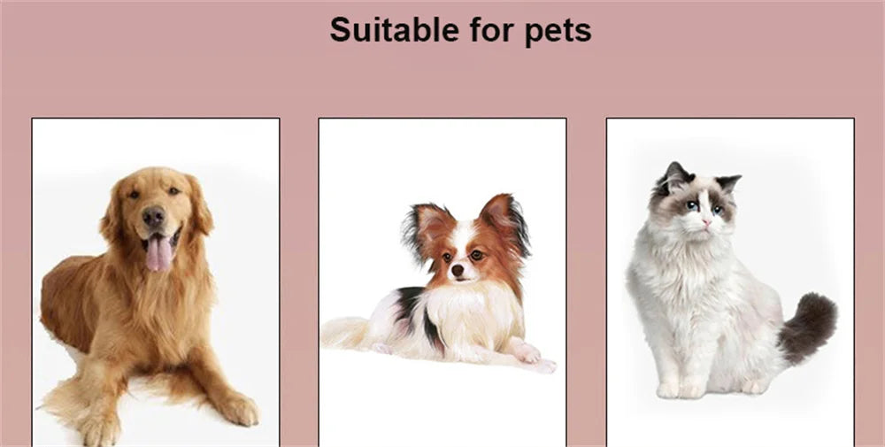 Pet Car Seat Belt