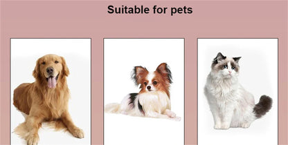 Pet Car Seat Belt