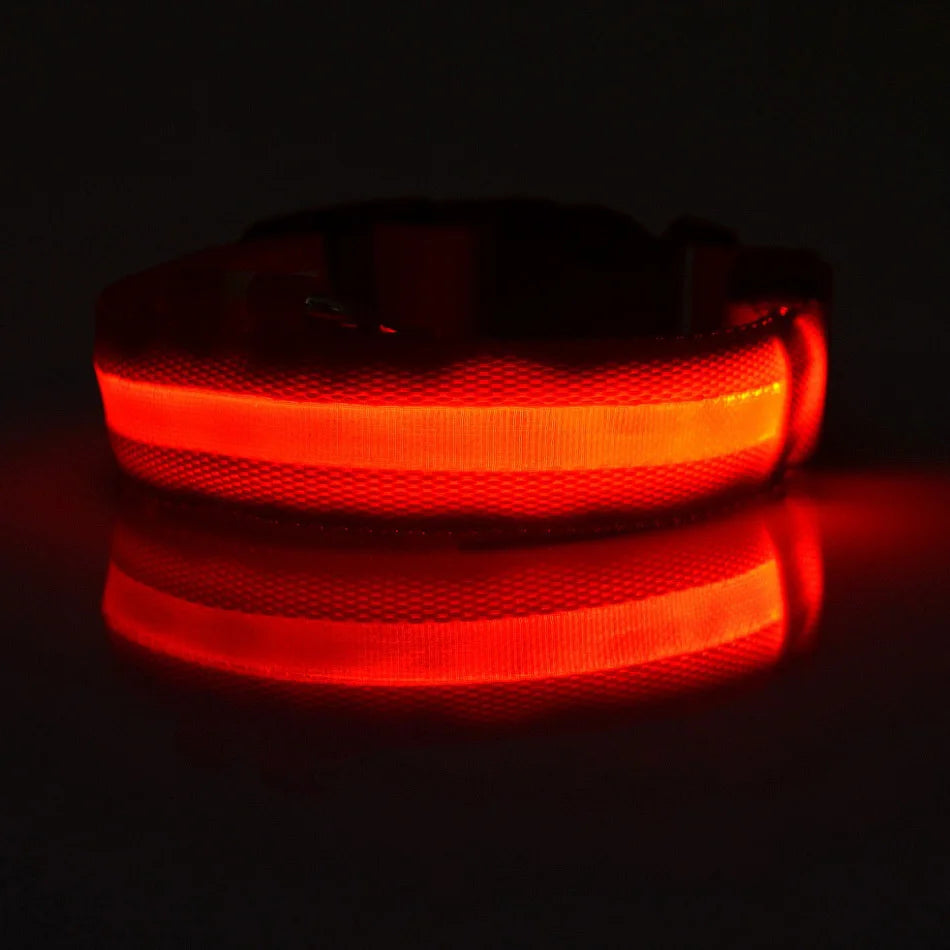 Nylon LED Night Safety Dog Leash