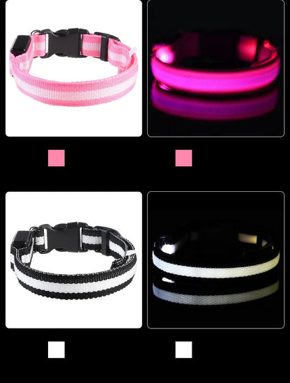 Nylon LED Night Safety Dog Leash