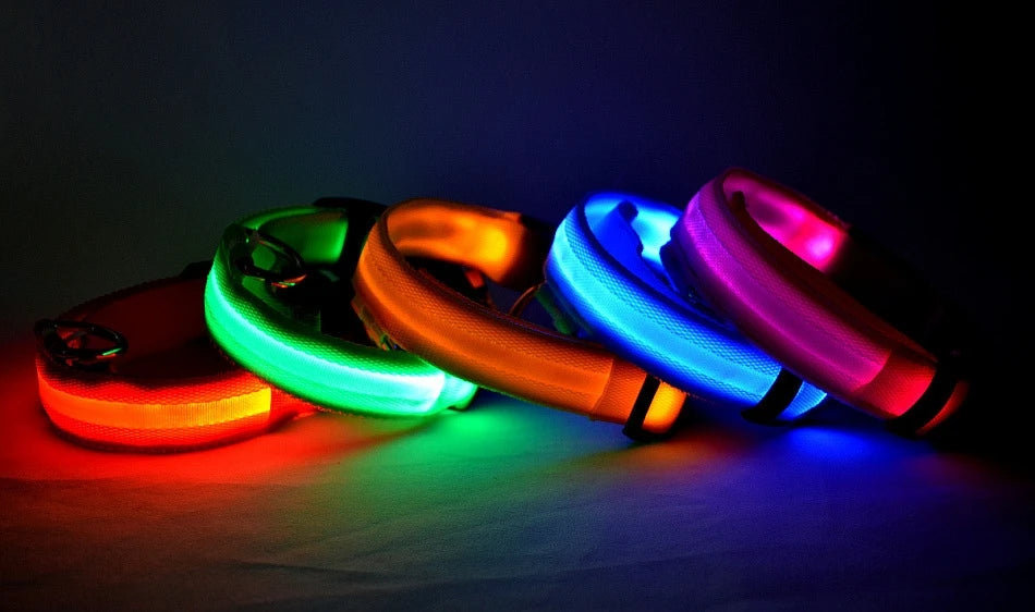 Nylon LED Night Safety Dog Leash