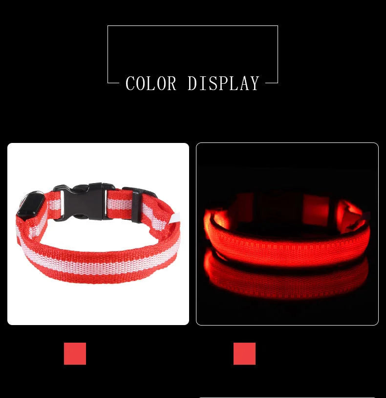 Nylon LED Night Safety Dog Leash